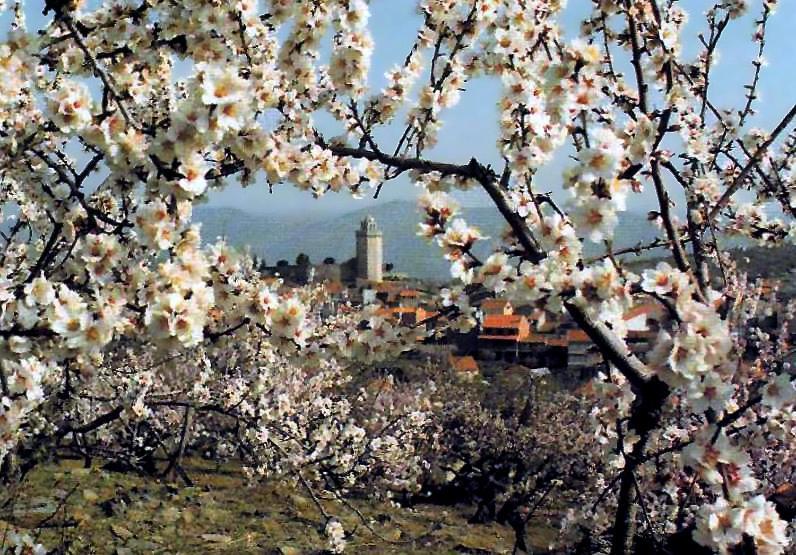 Moradias Do Douro Internacional Vila Freixo de Espada à Cinta Exterior foto