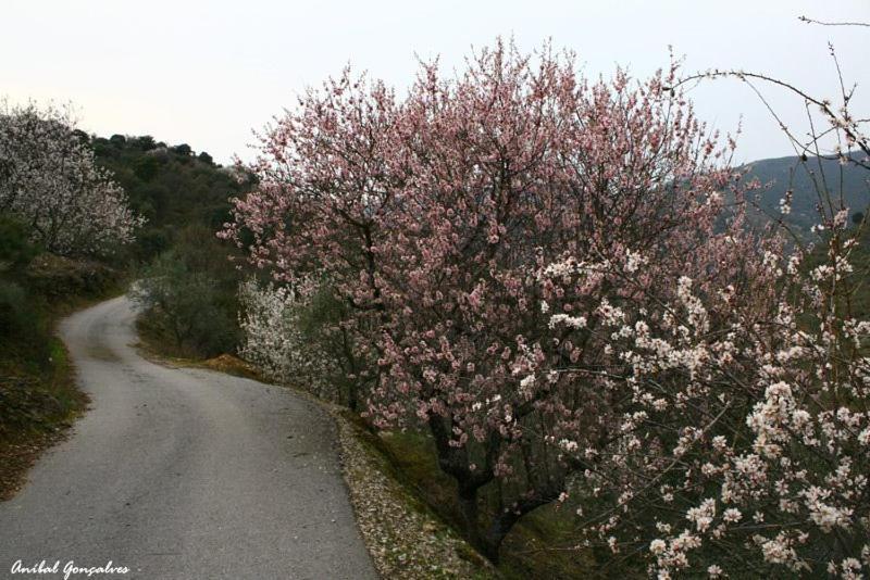 Moradias Do Douro Internacional Vila Freixo de Espada à Cinta Exterior foto