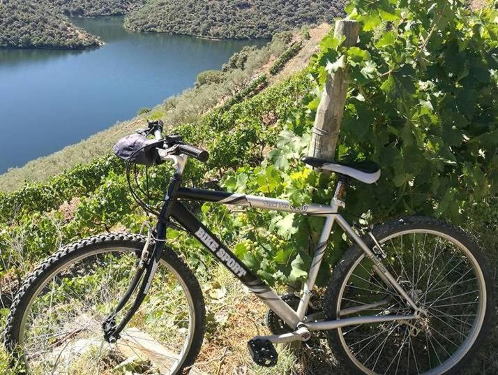 Moradias Do Douro Internacional Vila Freixo de Espada à Cinta Exterior foto