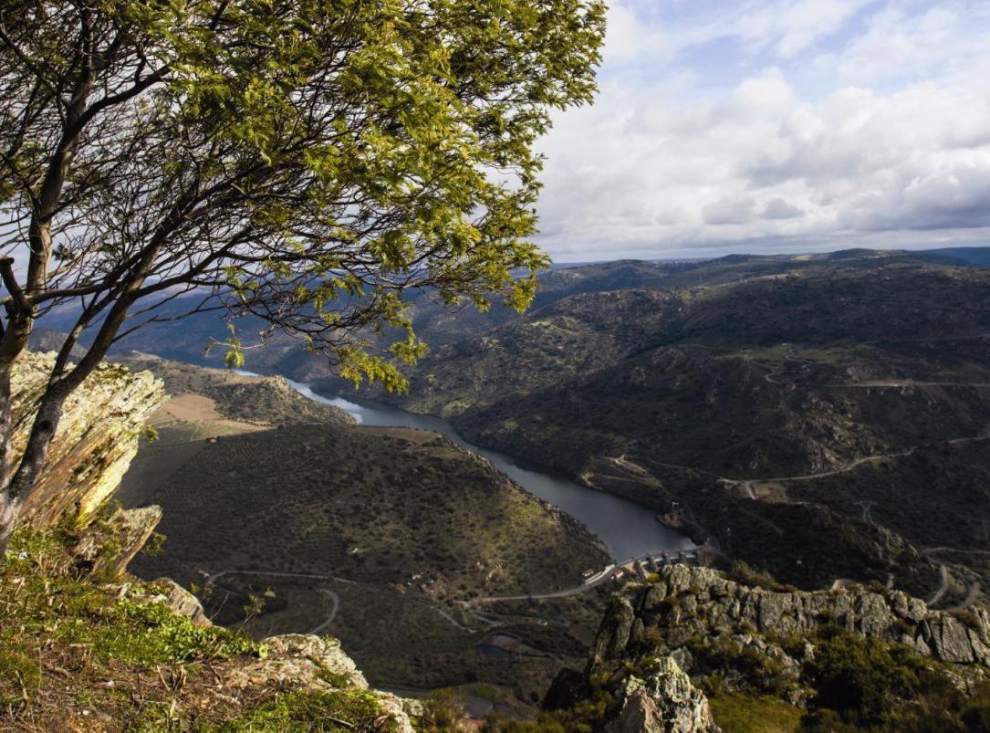 Moradias Do Douro Internacional Vila Freixo de Espada à Cinta Exterior foto