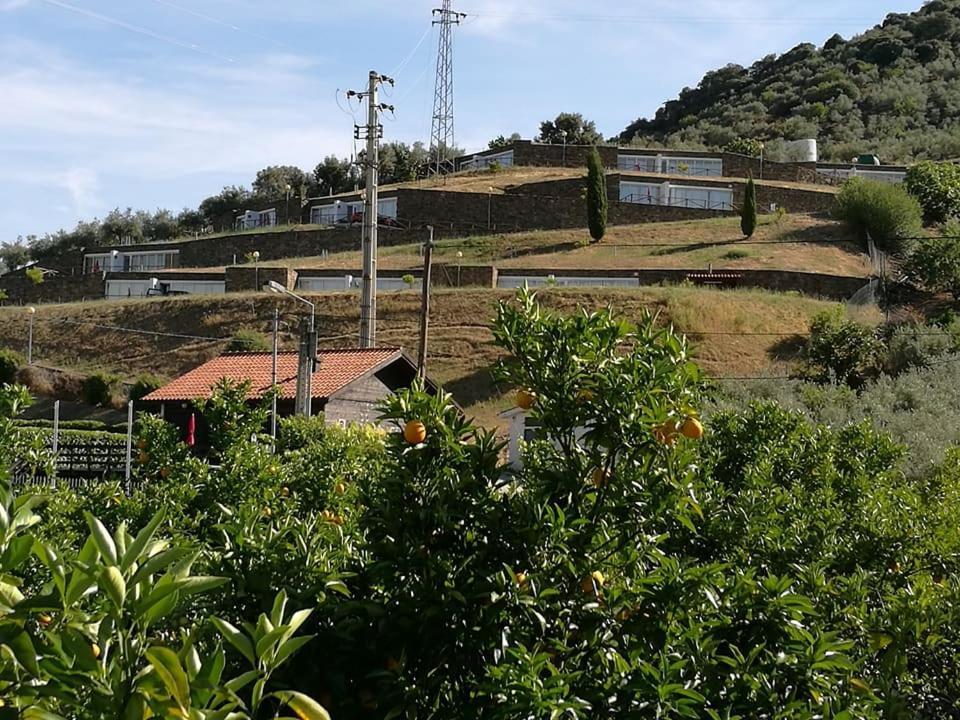 Moradias Do Douro Internacional Vila Freixo de Espada à Cinta Exterior foto
