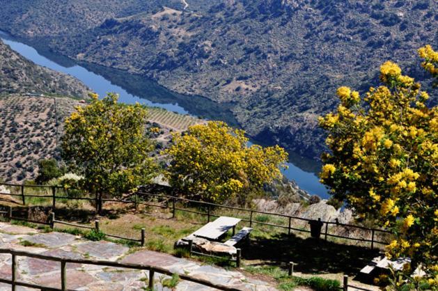 Moradias Do Douro Internacional Vila Freixo de Espada à Cinta Exterior foto
